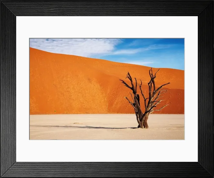 Framed Print : Namib Desert Framed Print : Namib Desert
