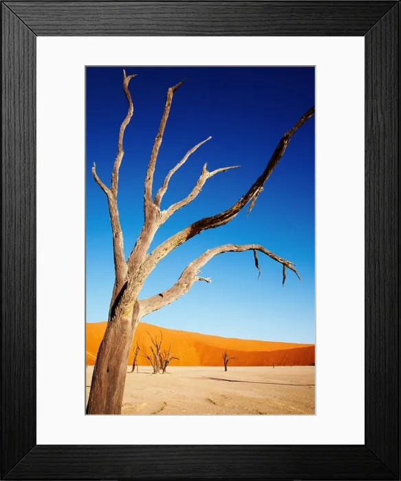 Framed Print : Dead tree in Namib Desert Framed Print : Dead tree in Namib Desert