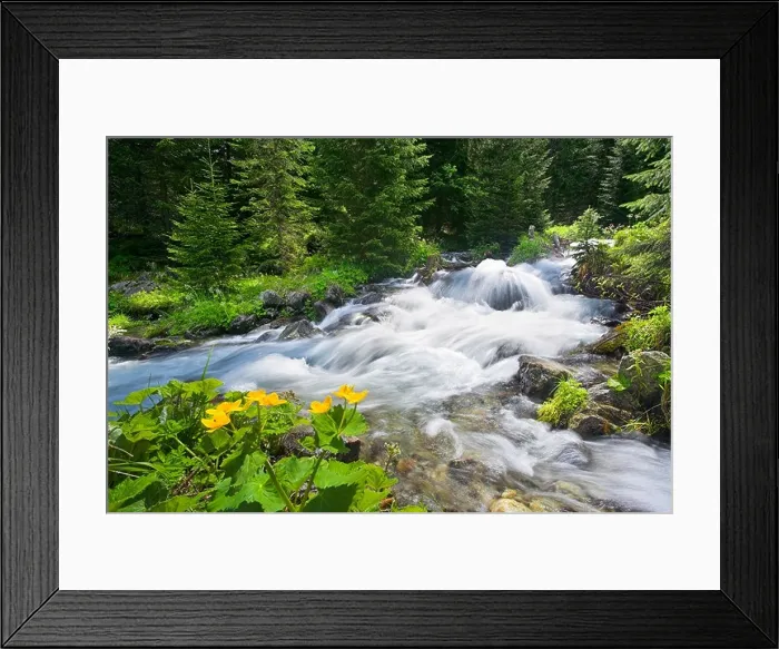 Framed Print : Rohacky Stream in Tatra Mountains Slovakia Framed Print : Rohacky Stream in Tatra Mountains Slovakia
