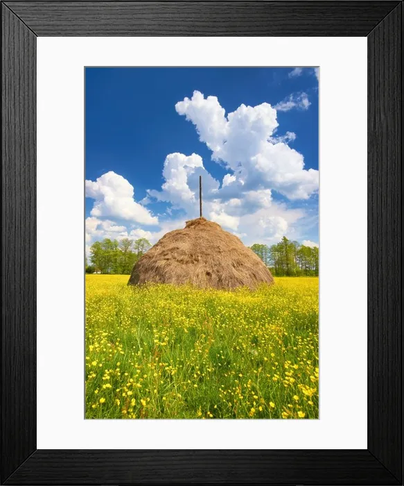 Framed Print : Kampinoski National Park, Poland Framed Print : Kampinoski National Park, Poland