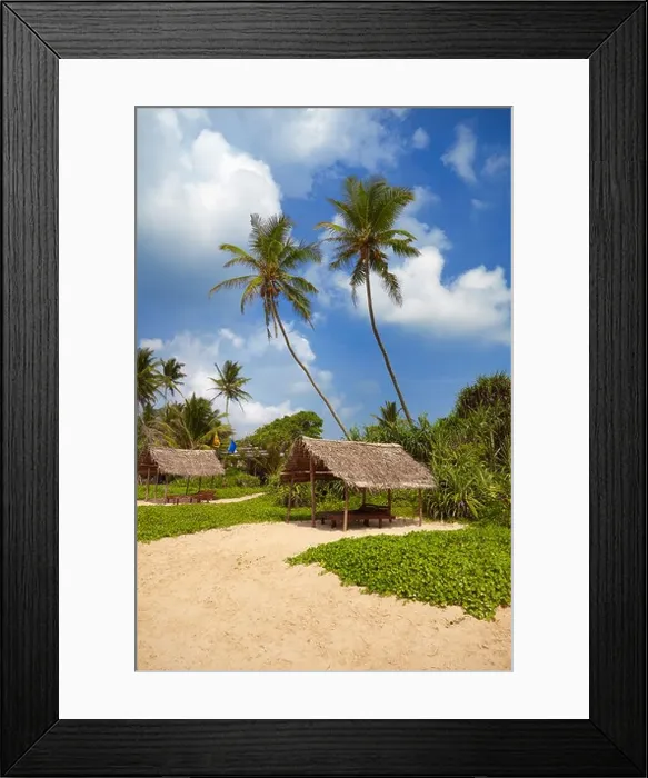 Framed Print : Sri Lanka landscape at Koggala sand beach (southwestern tip of Sri Lanka), Asia Framed Print : Sri Lanka landscape at Koggala sand beach (southwestern tip of Sri Lanka), Asia
