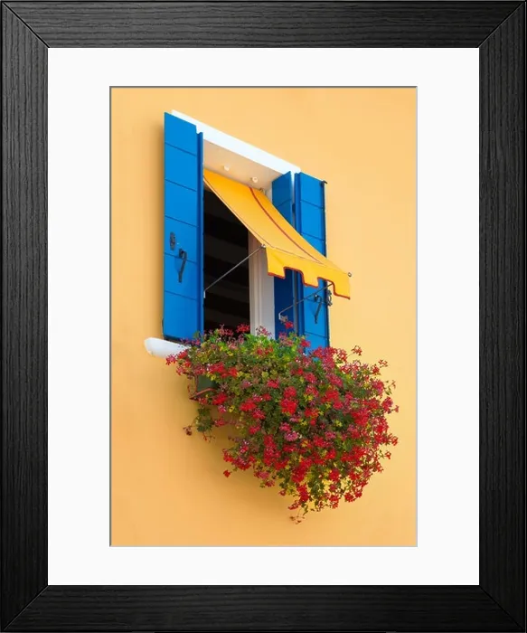 Framed Print : Window with blue shutter and red flowers, Burano Island near Venice, Italy Framed Print : Window with blue shutter and red flowers, Burano Island near Venice, Italy
