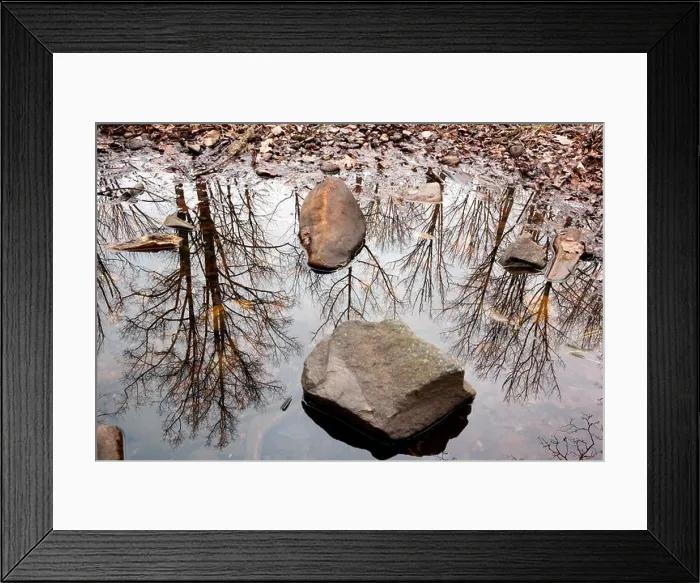 Framed Print : Tree Reflections - Pisgah National Forest - near Brevard, North Carolina USA Framed Print : Tree Reflections - Pisgah National Forest - near Brevard, North Carolina USA