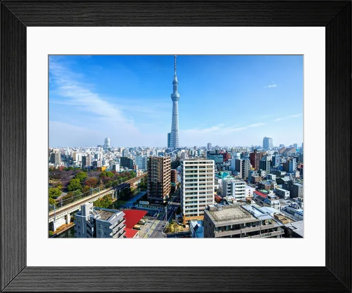 Framed Print : Landmark structures in Tokyo, Japan