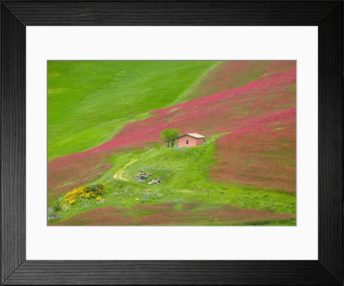 Framed Print : Sicily spring landscape with flowers and meadow in Central Sicily, Italy Framed Print : Sicily spring landscape with flowers and meadow in Central Sicily, Italy