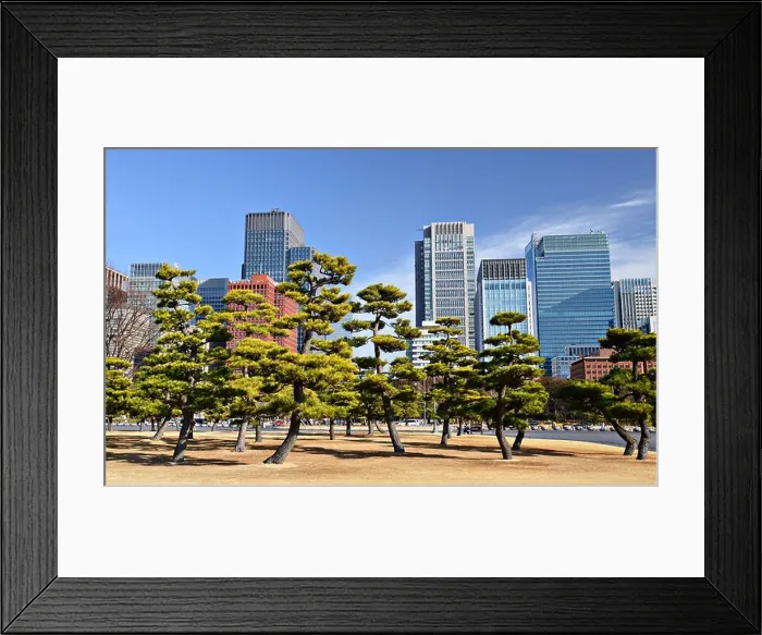 Framed Print : Tokyo, Japan's Marunouchi Business District viewed from the grounds of Tokyo Imperial Palace Framed Print : Tokyo, Japan's Marunouchi Business District viewed from the grounds of Tokyo Imperial Palace