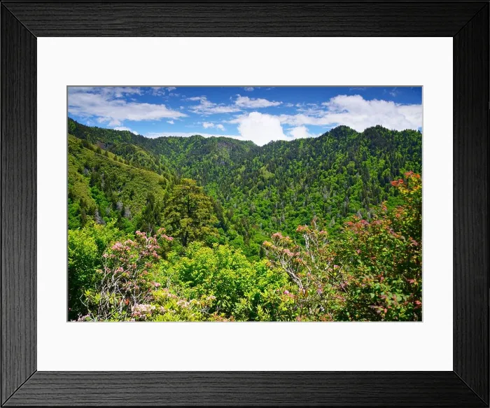 Framed Print : Summer landscape in the Smoky Mountains near Gatlinburg, Tennessee Framed Print : Summer landscape in the Smoky Mountains near Gatlinburg, Tennessee