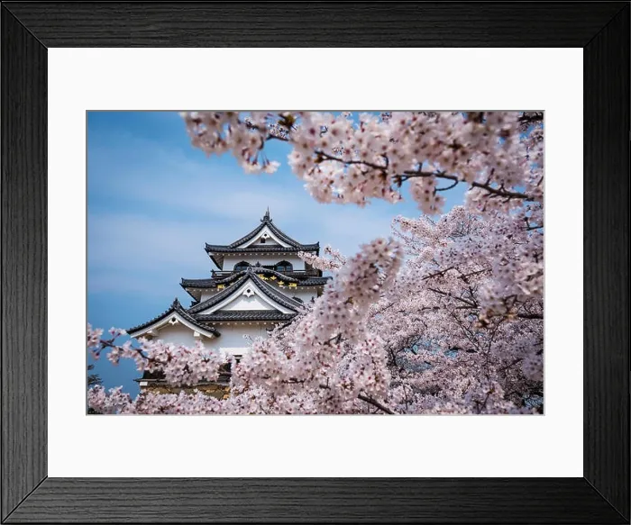 Framed Print : Hikone Castle in Hikone, Shiga Prefecture, Japan Framed Print : Hikone Castle in Hikone, Shiga Prefecture, Japan