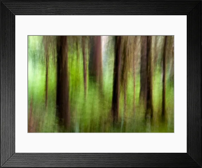 Framed Print : Abstract Image of Hoh Rainforest - Olympic National Park, near Forks, Washington, USA Framed Print : Abstract Image of Hoh Rainforest - Olympic National Park, near Forks, Washington, USA