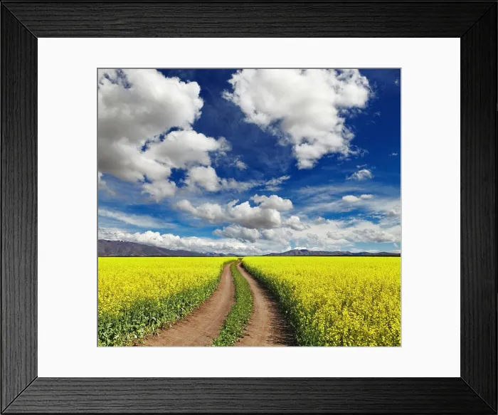 Framed Print : Landscape with blossoming field and road Framed Print : Landscape with blossoming field and road