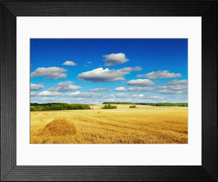 Framed Print : landscape with mowed field and blue sky Framed Print : landscape with mowed field and blue sky
