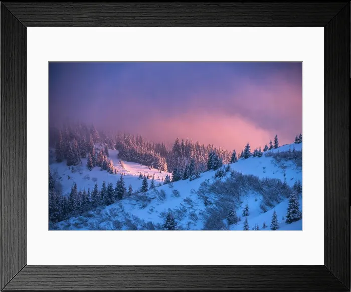 Framed Print : snovy trees on winter mountains Framed Print : snovy trees on winter mountains
