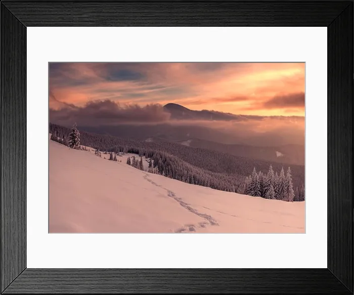 Framed Print : snovy trees on winter mountains Framed Print : snovy trees on winter mountains