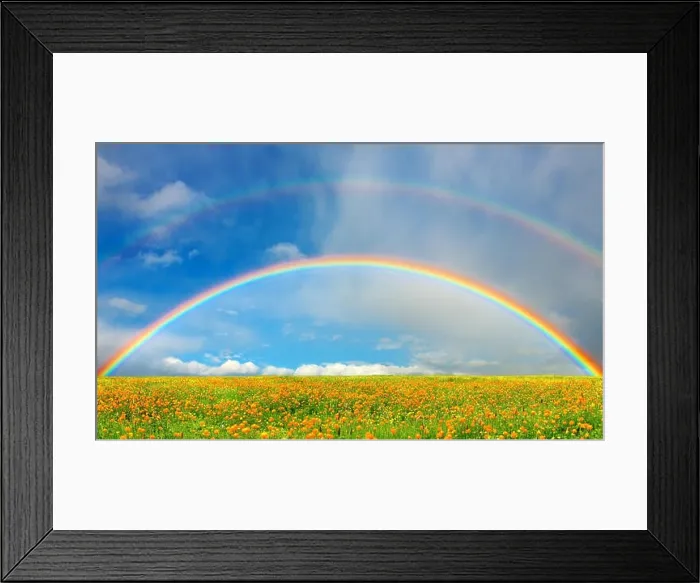 Framed Print : Landscape with blossoming field and rainbow Framed Print : Landscape with blossoming field and rainbow