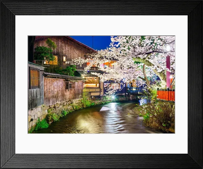 Framed Print : Kyoto, Japan at the Shirakawa River during the spring cherry blosson season Framed Print : Kyoto, Japan at the Shirakawa River during the spring cherry blosson season