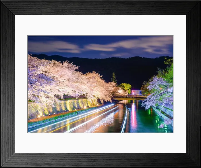 Framed Print : Kyoto, Japan on the Okazaki Canal during the spring cherry blossom season Framed Print : Kyoto, Japan on the Okazaki Canal during the spring cherry blossom season