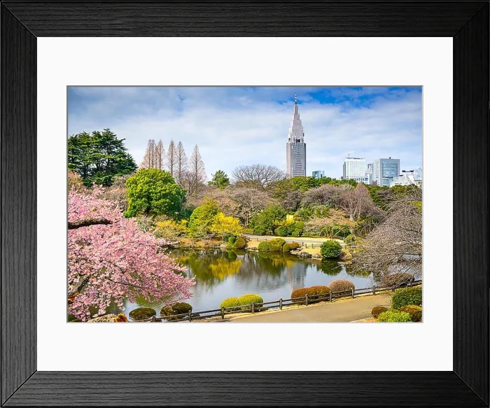 Framed Print : Shinjuku Gyoen Park, Tokyo, Japan in the spring Framed Print : Shinjuku Gyoen Park, Tokyo, Japan in the spring