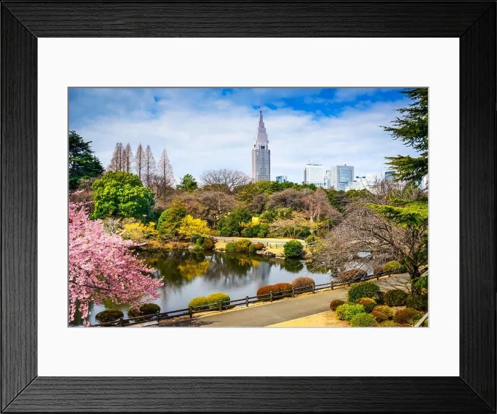 Framed Print : Shinjuku Gyoen, Tokyo, Japan in the spring Framed Print : Shinjuku Gyoen, Tokyo, Japan in the spring