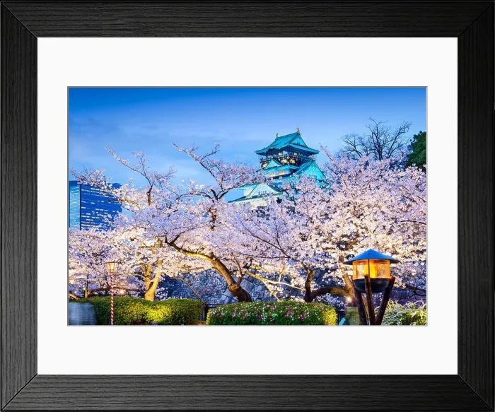 Framed Print : Osaka, Japan sakura at Osaka Castle Framed Print : Osaka, Japan sakura at Osaka Castle