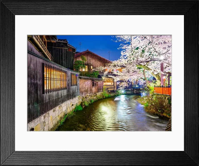 Framed Print : Kyoto, Japan at Shirakawa canal in Gion district Framed Print : Kyoto, Japan at Shirakawa canal in Gion district