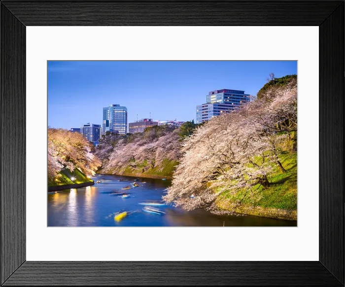 Framed Print : Tokyo, Japan at Chidorigafuchi Imperial Palace moat during the spring season Framed Print : Tokyo, Japan at Chidorigafuchi Imperial Palace moat during the spring season