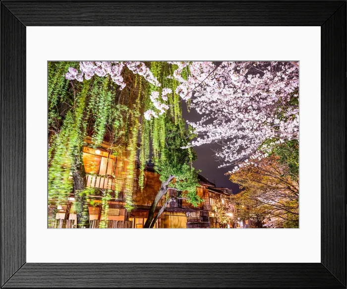 Framed Print : Spring foliage in Kyoto, Japan at night Framed Print : Spring foliage in Kyoto, Japan at night