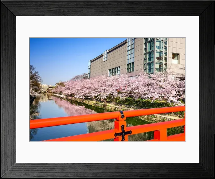 Framed Print : Kyoto, Japan in the springtime at Okazaki Canal Framed Print : Kyoto, Japan in the springtime at Okazaki Canal