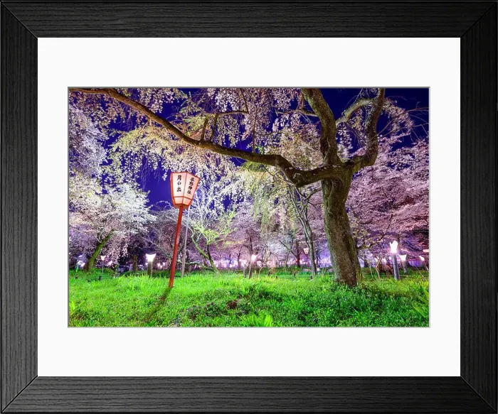 Framed Print : Kyoto, Japan at Hirano Temple festival grounds in spring. The lantern reads Moonrise, Hirano Temple Framed Print : Kyoto, Japan at Hirano Temple festival grounds in spring. The lantern reads Moonrise, Hirano Temple