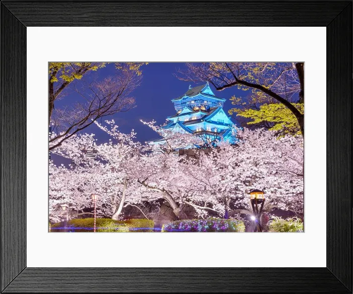 Framed Print : Osaka, Japan at Osaka, Castle with cherry blossoms Framed Print : Osaka, Japan at Osaka, Castle with cherry blossoms