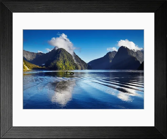 Framed Print : Fiord Milford Sound, South Island, New Zealand Framed Print : Fiord Milford Sound, South Island, New Zealand