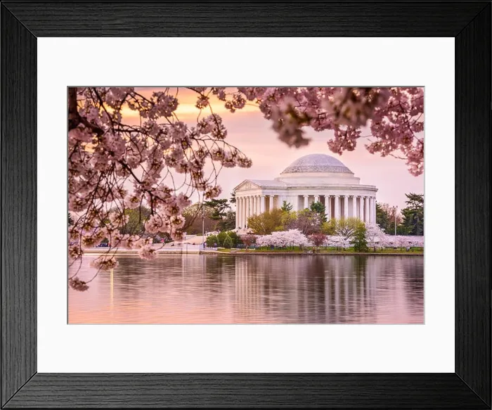 Framed Print : Washington, DC at the Tidal Basin and Jefferson Memorial during spring Framed Print : Washington, DC at the Tidal Basin and Jefferson Memorial during spring