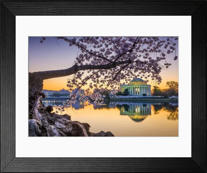 Framed Print : Washington, DC at the Jefferson Memorial during spring Framed Print : Washington, DC at the Jefferson Memorial during spring