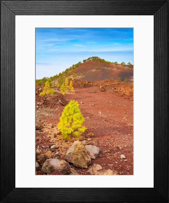 Framed Print : Volcanic landscape, Teide National Park, Tenerife, Canary Islands, Spain Framed Print : Volcanic landscape, Teide National Park, Tenerife, Canary Islands, Spain