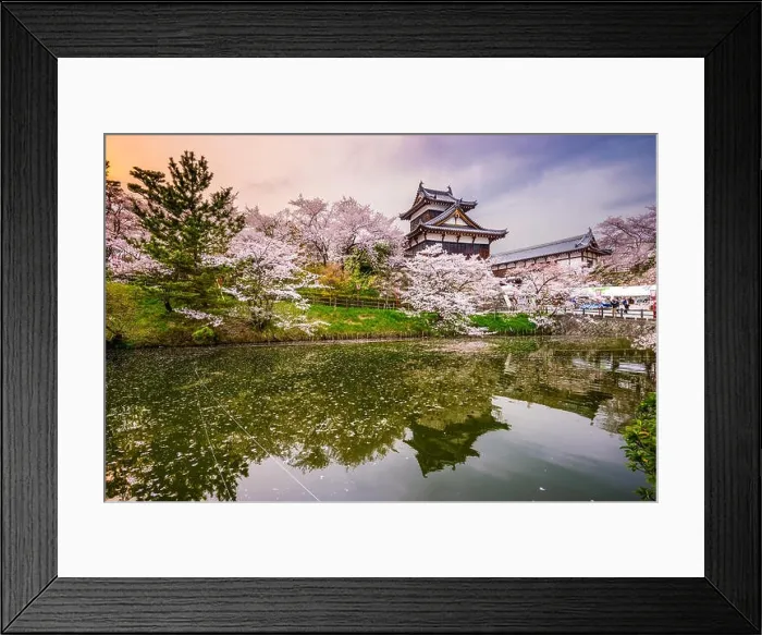 Framed Print : Nara, Japan at Koriyama Castle in the spring season Framed Print : Nara, Japan at Koriyama Castle in the spring season