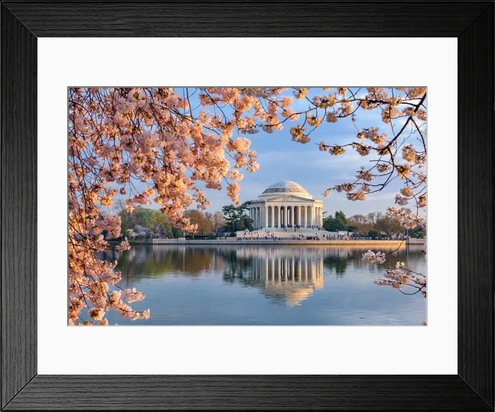 Framed Print : Washington, DC at the Tidal Basin and Jefferson Memorial during spring Framed Print : Washington, DC at the Tidal Basin and Jefferson Memorial during spring