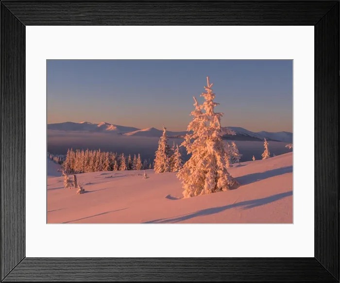 Framed Print : Fantastic orange evening landscape glowing by sunlight. Dramatic wintry scene with snowy trees. Kukul ridge, Carpathians, Ukrain