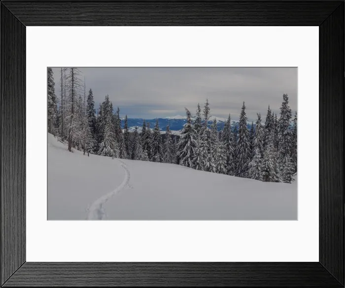 Framed Print : Fantastic winter landscape with snowy trees. Carpathians, Ukraine, Europe
