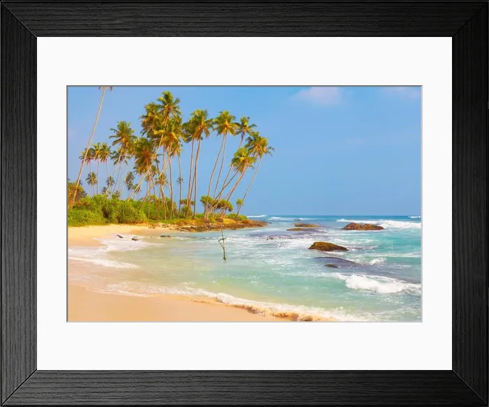 Framed Print : Koggala palms beach, Sri Lanka, Asia Framed Print : Koggala palms beach, Sri Lanka, Asia