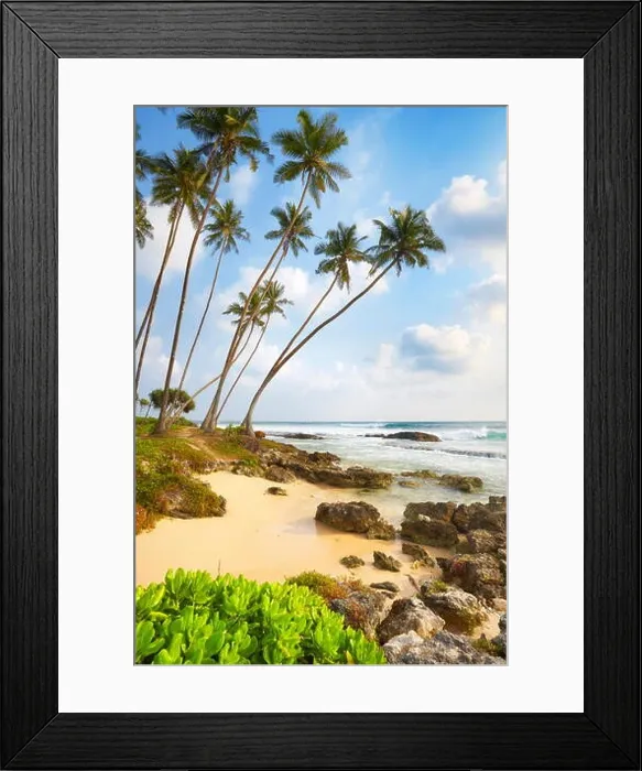 Framed Print : Sri Lanka - Koggala Palm Beach, Asia Framed Print : Sri Lanka - Koggala Palm Beach, Asia