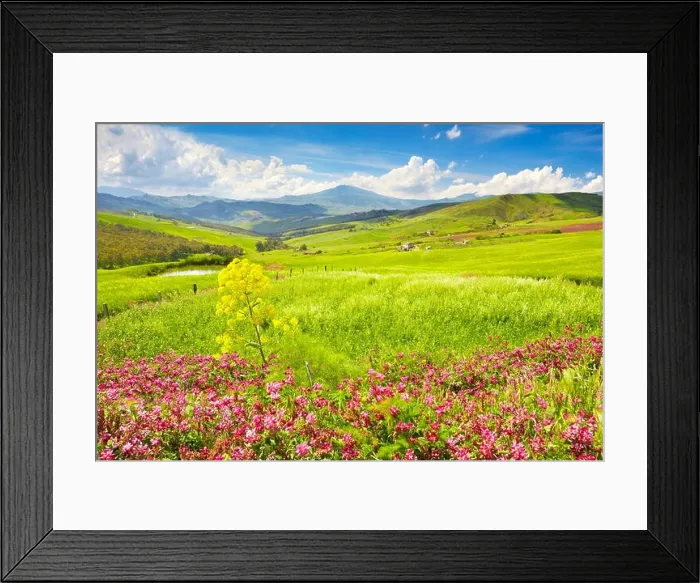 Framed Print : Spring landscape with flowers in Central Sicily, Sicily Island, Italy