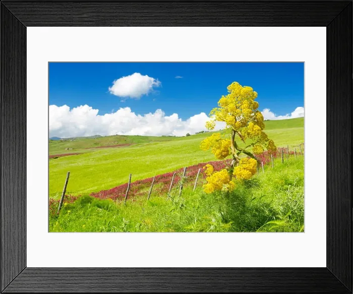 Framed Print : Sicily spring meadow landscape, Central Sicily, Italy Framed Print : Sicily spring meadow landscape, Central Sicily, Italy