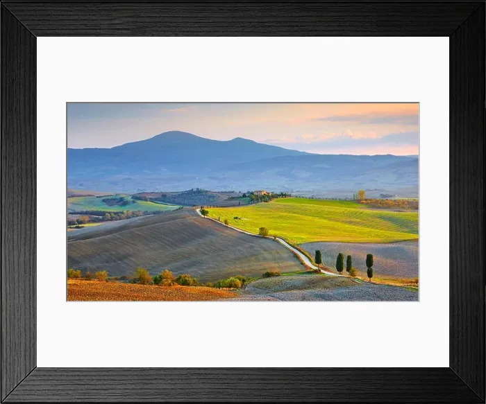 Framed Print : Cypress trees landscape, Val d'Orcia, Tuscany, Italy Framed Print : Cypress trees landscape, Val d'Orcia, Tuscany, Italy