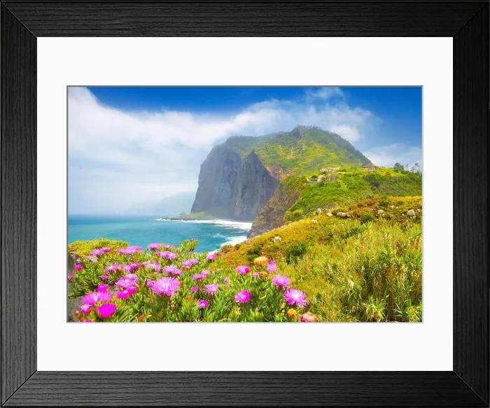 Framed Print : Madeira - landscape with flowers and cliff coastline near Ponta Delgada, Madeira Island, Portugal Framed Print : Madeira - landscape with flowers and cliff coastline near Ponta Delgada, Madeira Island, Portugal