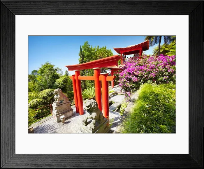 Framed Print : Japanese japan oriental tropical garden - Monte, Madeira Island, Portugal Framed Print : Japanese japan oriental tropical garden - Monte, Madeira Island, Portugal
