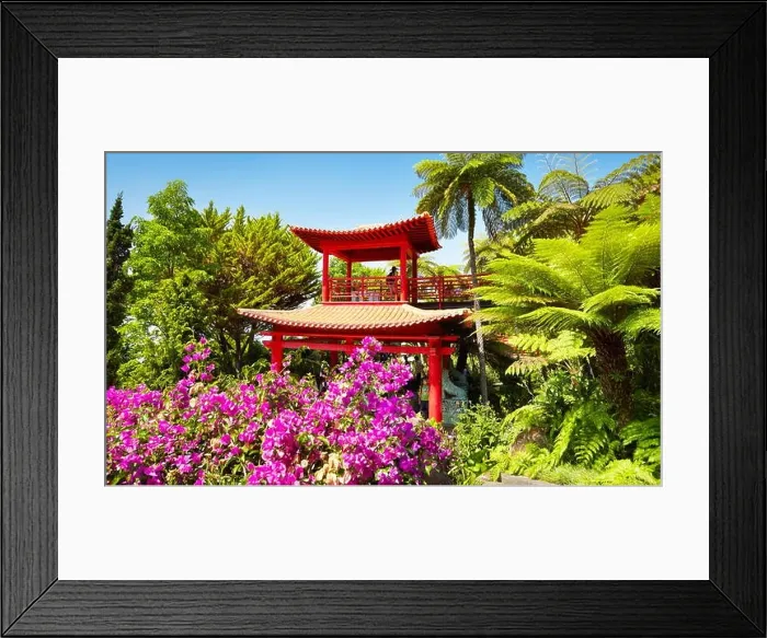 Framed Print : Japan japanese oriental flower garden Monte Palace Tropical Garden - Madeira Island, Portugal Framed Print : Japan japanese oriental flower garden Monte Palace Tropical Garden - Madeira Island, Portugal