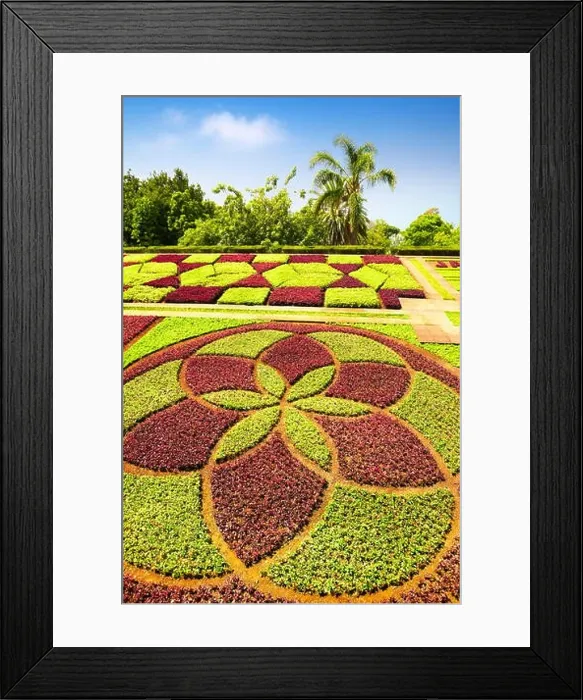 Framed Print : The Madeira Botanical Garden - Funchal, Madeira Island, Portugal Framed Print : The Madeira Botanical Garden - Funchal, Madeira Island, Portugal