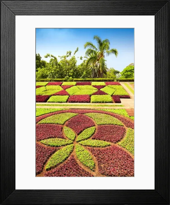 Framed Print : The Madeira Botanical Garden - Funchal, Madeira Island, Portugal Framed Print : The Madeira Botanical Garden - Funchal, Madeira Island, Portugal