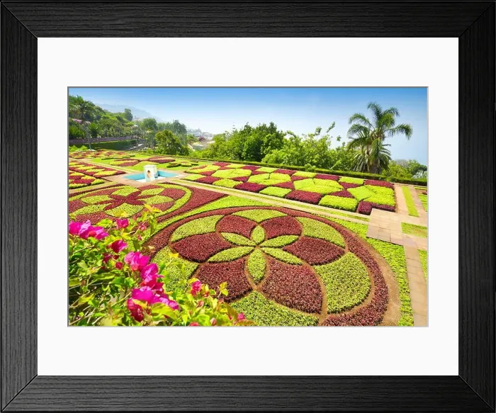 Framed Print : Madeira Botanical Garden - Funchal, Madeira Island, Portugal Framed Print : Madeira Botanical Garden - Funchal, Madeira Island, Portugal