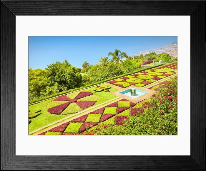 Framed Print : The Madeira Botanical Garden - Funchal, Madeira Island, Portugal Framed Print : The Madeira Botanical Garden - Funchal, Madeira Island, Portugal