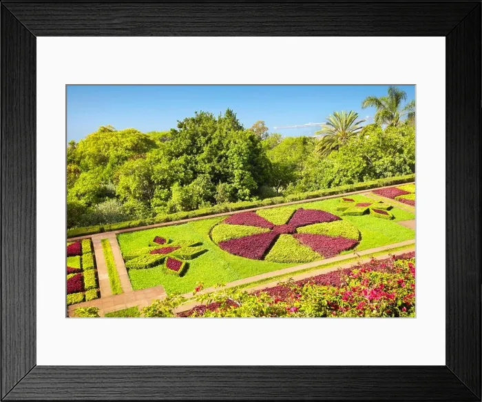 Framed Print : The Madeira Botanical Garden - Funchal, Madeira Island, Portugal Framed Print : The Madeira Botanical Garden - Funchal, Madeira Island, Portugal